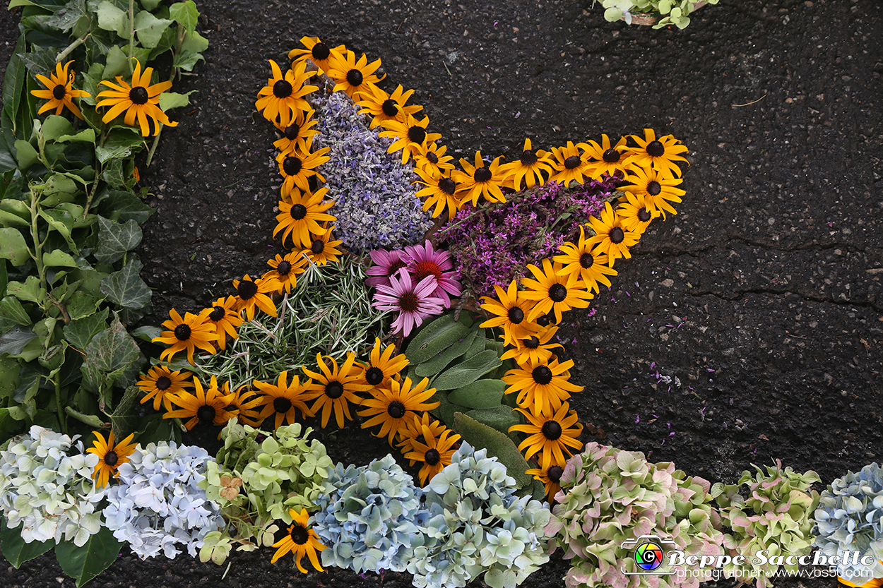 VBS_9628 - Infiorata di Villanova d'Asti 2023.jpg